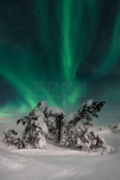 花束,南极洲,寒冷,飘然,光亮,环境,霜,雪,极光,暴风雨