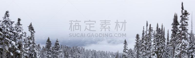 加拿大,惠斯勒,大不列颠哥伦比亚,寒冷,惠斯勒山,灰色,云,雪,公元前,户外