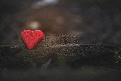 红色,心型,自然,手,人,白昼,金色,白色