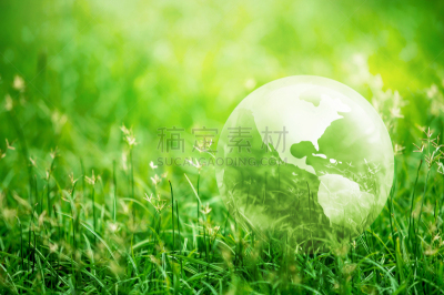 草,地球形,绿色,玻璃,太阳,地球日,环境,泰国,平衡,荷花