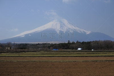 富士山,日本,全部,三维图形,雪,著名景点,春天,枫树,户外,天空