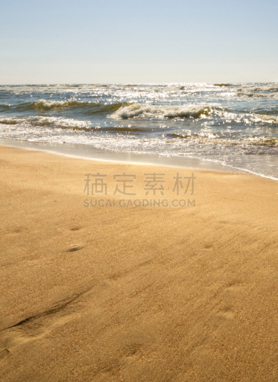 波罗的海,沙子,海滩,立陶宛共和国,金色
