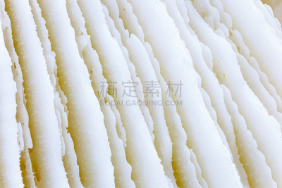 蘑菇珊瑚,特写,山脊,濒危物种,环境,加拿大,碳酸钙,礁石,动物骨骼,背景