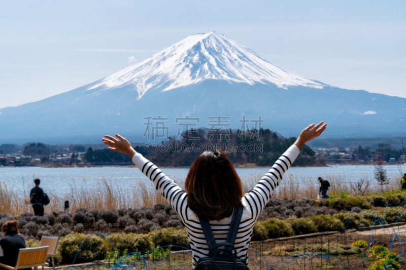 富士山,都市风景,河口湖,侧面视角,看,青年女人,仅日本人,背面视角,雪,女人