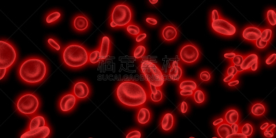 红细胞,心血管系统,蛋白质,脂肪,红色,概念,科学,生物学,健康保健,图像