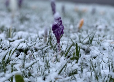 冬天,湿,寒冷,清新,视点,汽车,交通,环境,雪,天气