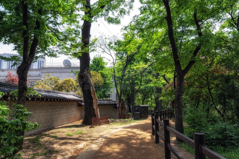 路,视角,名声,步行道路,围墙,著名景点,韩国,小路,朝鲜半岛,人行道