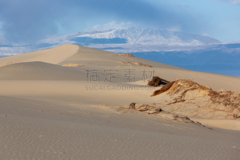 沙丘,戈壁滩,热,橙色,加拿大,人种,沙漠,户外活动,自然荒野区,岩石