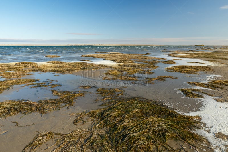 湖,船,海浪,草,海岸线,波浪,户外,天空,沙子,鱼类