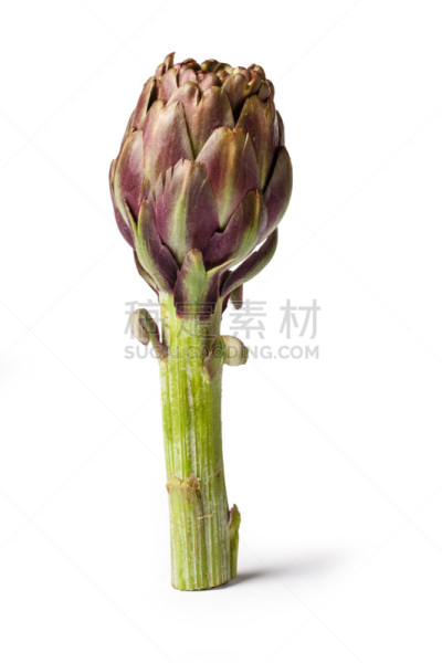 朝鲜蓟,农业,素食,蔬菜,健康保健,清新,食品,成分,洋蓟心,农场