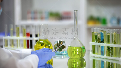 生物学家,有机食品,植物,透过窗户往外看,放大镜,化妆用品,儿童,房室传导系统,科学家