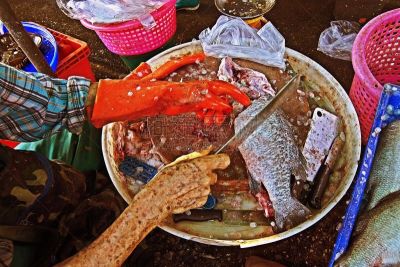 曼谷,清新,市场,海洋,鲈,渔业,泰国食品,食品,泰国,东方食品