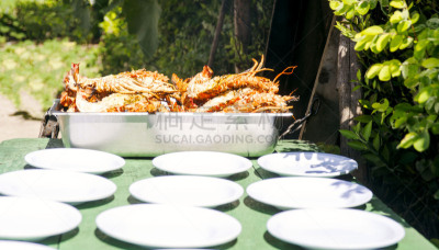 格子烤肉,清新,龙虾,巨大的,上菜,酥皮糕点,背景分离,螯虾,华贵,热带气候