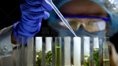 烟,实验室,装管,植物,生物化学家,化学制品,绿色,排放,加