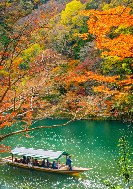 船,京都府,河流,岚山,日本,秋天,风景,森林,桂离宫,划桨