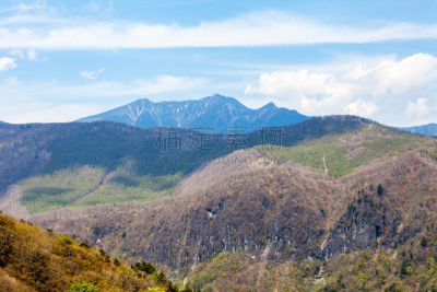 日本,长野县,婚姻,非都市风光,地形,户外,秋天,金色,绿色,蓝色
