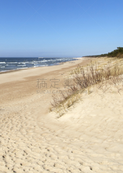 日光,沙子,海滩,白昼,立陶宛共和国,自然美,冬天