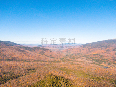 季节,秋天,叶子,背景,航拍视角,白山,枫树,森林,出示