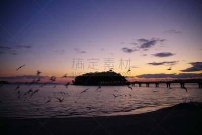 城市,橙色,黄昏,著名景点,鸟类,海岸线,户外,天空,日本,度假胜地