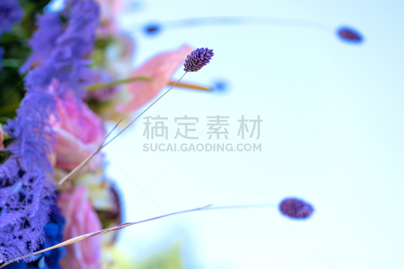 清新,特写,音乐厅,嫩枝,熏衣草,浪漫,干花,草,装饰物,乡村风格