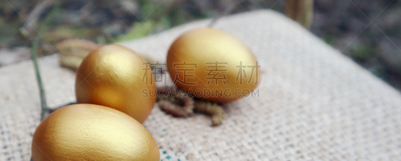 复活节,概念,蛋,金色,餐巾,森林,一个物体,食品,视力,蛋黄