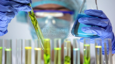 化学家,绿色,蓝色,比较,科学,液体,植物,试管,烧瓶