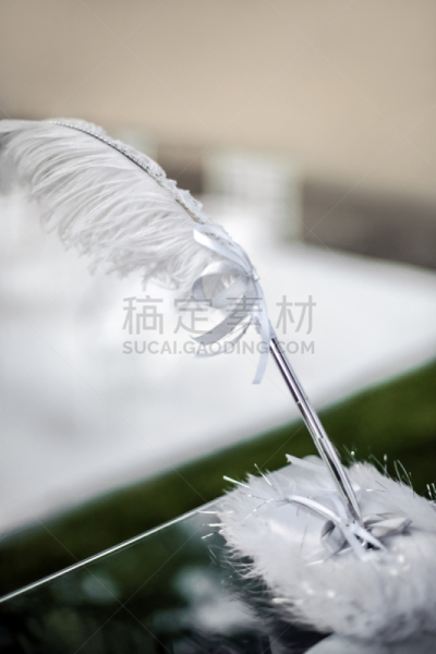 翎毛,桌子,华丽的,婚礼客人,婚姻,银色,白色,纸,金属,传统