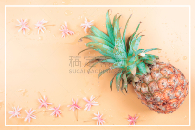 清新,西瓜,水果,夏天,极简构图,概念,菠萝,季节,热带的花