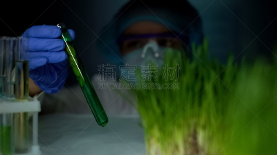 植物,比较,技术员,小麦,试管,医学样本,绿色,水平画幅,装管,生物学家