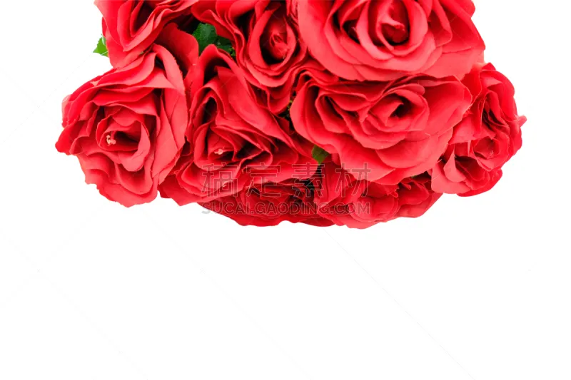 玫瑰 背景分离 情人节 白昼 红色 白色背景 美 组物体 花束 爱图片素材下载 稿定素材