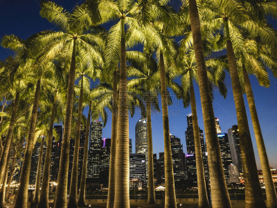 夜生活,新加坡市,城市天际线,地形,户外,黄昏,高大的,著名景点,非凡的,宁静