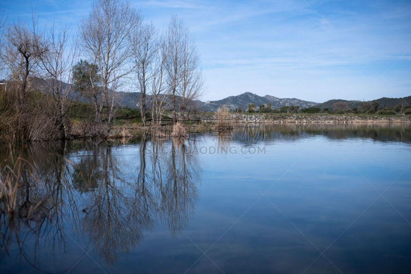 注视镜头,特拉华,帕杜拉,寒冷,法国,环境,科西嘉,湖,背景,户外