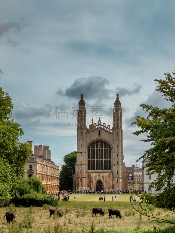 英格兰,小礼拜堂,大学,剑桥,国际著名景点,著名景点,古典风格,河流