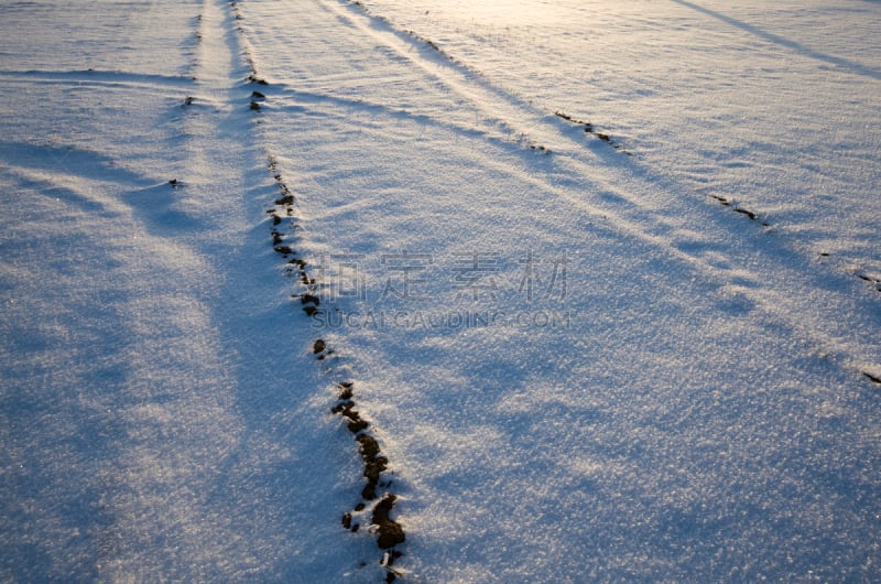 雪,冷,健康保健,脉搏图,雪橇滑学,运动,清新,环境,从容态度,霜