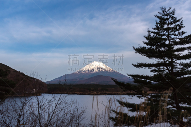 富士山,精进湖,风景,世界遗产,云,雪,障子,著名景点,春天,湖