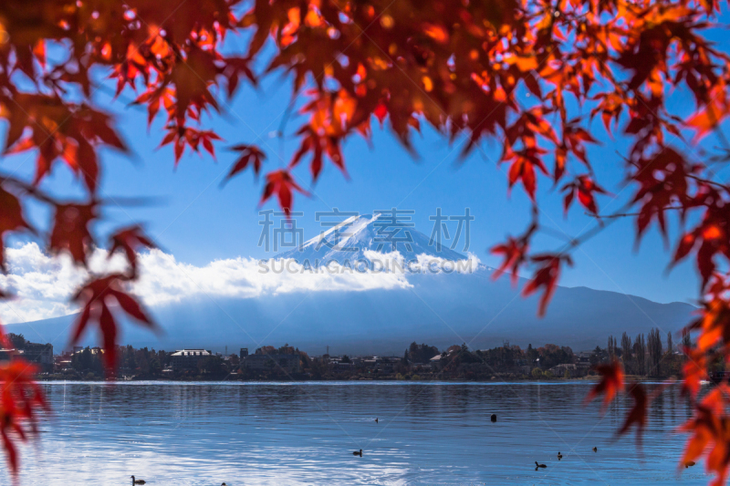 富士山,雪,著名景点,自然美,湖,户外,天空,富士河口湖,日本,火山