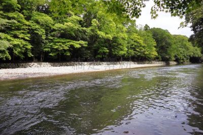日本,风景,伊势米氏,云,枝繁叶茂,著名景点,三重县,河流,户外,天空