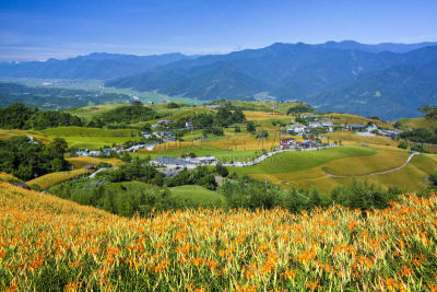 萱草,农场,天空,休闲活动,水平画幅,云,户外,田地,特写,花莲