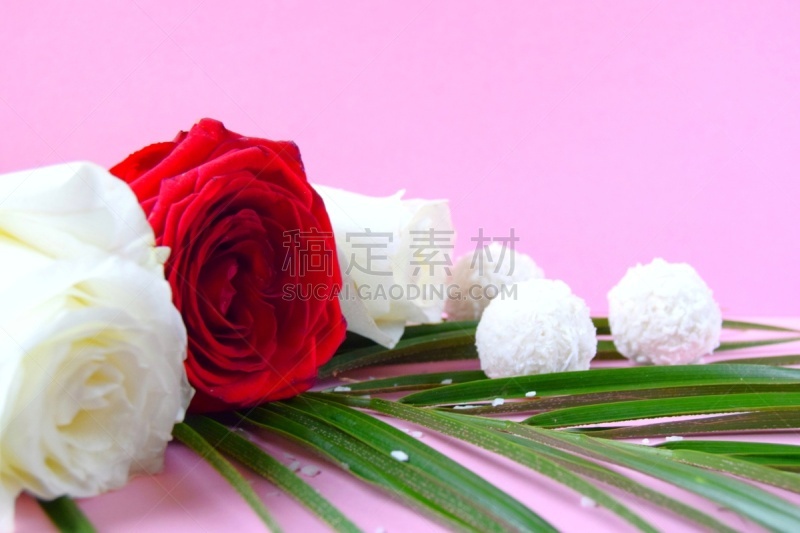 情人节,生日,母亲节,玫瑰,泉,淡雅,概念,背景,糖果,花