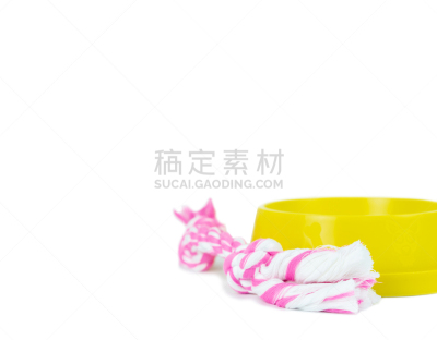 碗,猫,绳子,白色背景,狗,开端