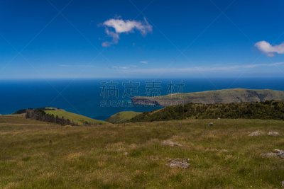 akaroa,在上面,新西兰,山,监守自盗,俄亥俄河,海岸线,看风景,非凡的,草