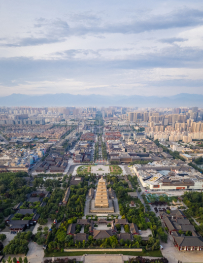西安,鹅肉,巨大的,宝塔,野外动物,野生动物,广场,著名景点,丘陵鹅,户外