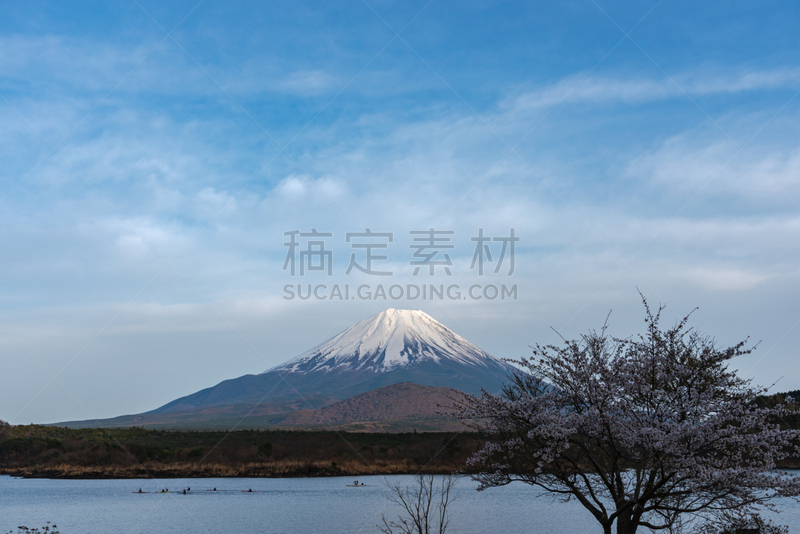 富士山,精进湖,风景,世界遗产,云,雪,障子,著名景点,春天,湖