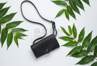 皮革,腰部,叶子,鸡尾酒,白色背景,视角,绿色,安全,带子,华贵