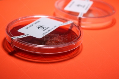 微生物学,生物学,血琼脂,健康保健,药,生物科技,科学实验,加拿大