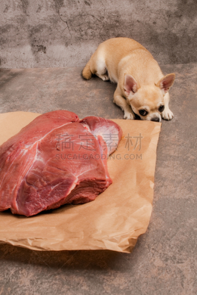 肉,幽默,狗,切片食物,巨大的,圣伯纳犬,努力,偷盗