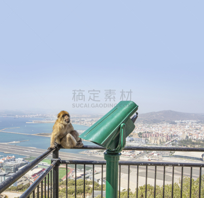 地中海猕猴,城镇,飞机跑道,直布罗陀,缆车,车站,天空,顶部,水滴,坐
