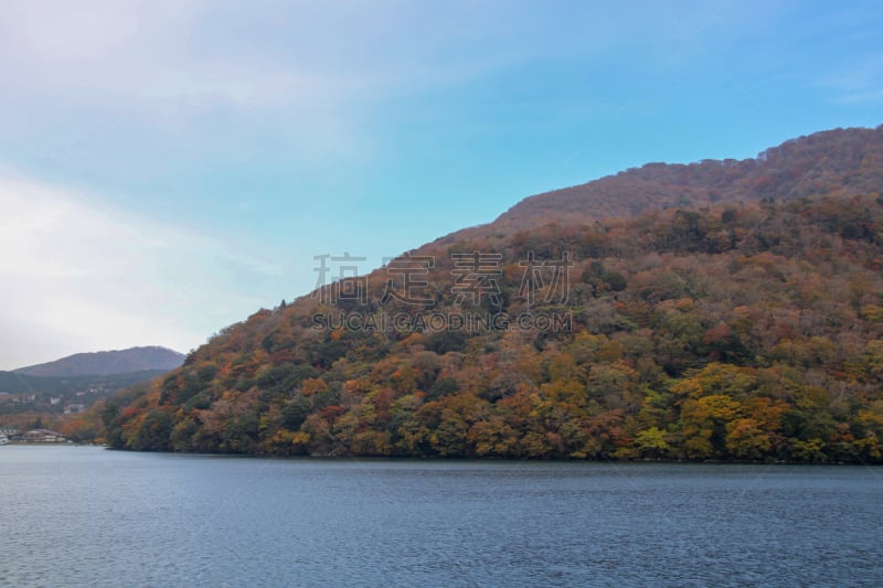 湖,日本,季节,秋天,叶子,山,地形,风景,森林,长江