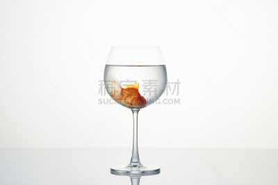 小的,葡萄酒杯,金鱼,水,平滑的,饮料,湿,淡水,背景分离,人工饲养动物