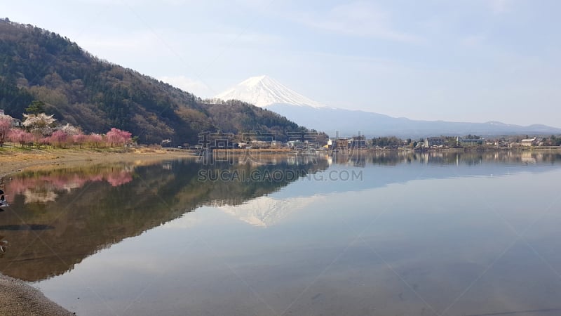 箱根园,湖,富士山,日本,地形,名古屋,雪,著名景点,春天,鸟居